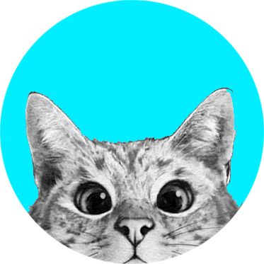 greykitty_turq